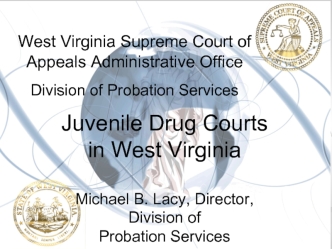 West Virginia Supreme Court of Appeals Administrative Office. Division of Probation Services. Juvenile Drug Courts