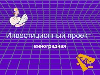 Инвестиционный проект