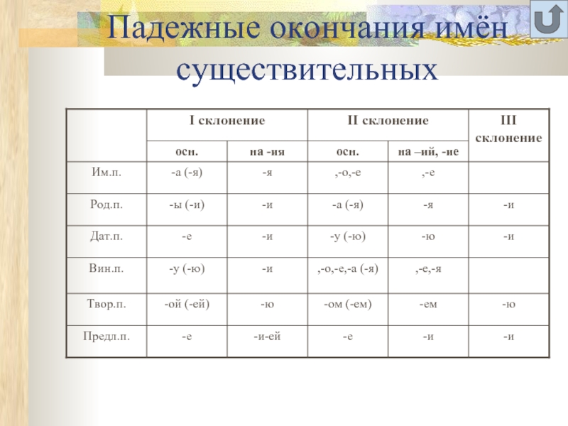 Падежные окончания имен существительных 5 класс презентация