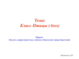 Класс Птицы (Aves)