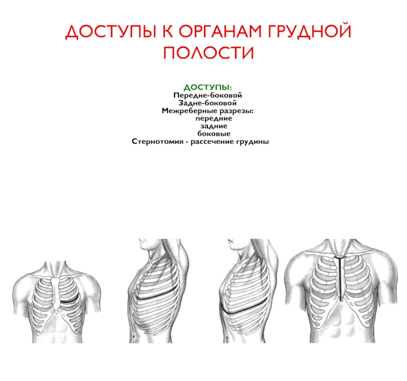 Реферат: Операции на грудной стенке и органах грудной полости