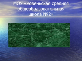 МОУ Ровеньская средняя общеобразовательная                          школа №2