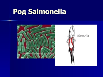 Род Salmonella. Систематика