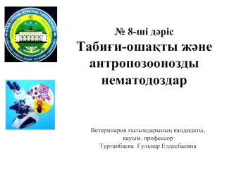 Табиғи-ошақты және антропозоонозды нематодоздар. (Дәріс 8)