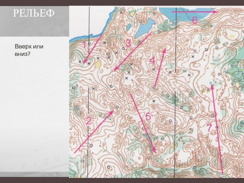 Задание рельеф. Спортивное ориентирование рельеф. Условные знаки спортивных карт рельеф.