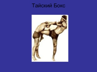 Тайский Бокс