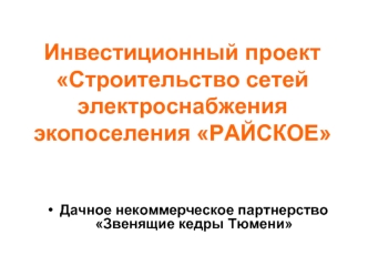 Инвестиционный проект Строительство сетей электроснабжения экопоселения РАЙСКОЕ