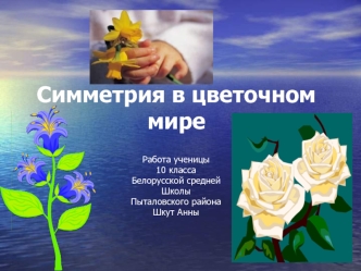 Симметрия в цветочном мире