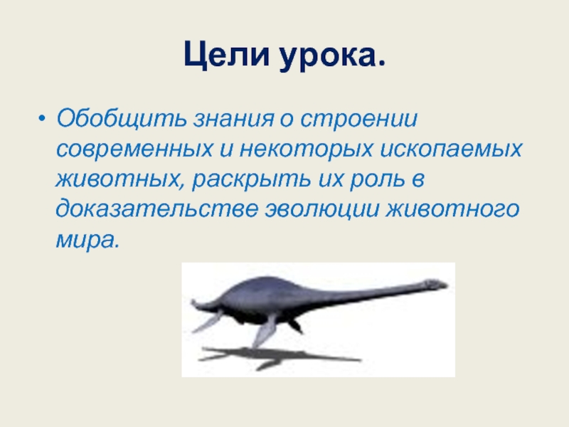 Доказательство эволюции животного мира 7 класс презентация