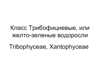 Желто-зеленые водоросли. Класс трибофициевые