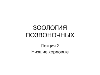 Низшие хордовые