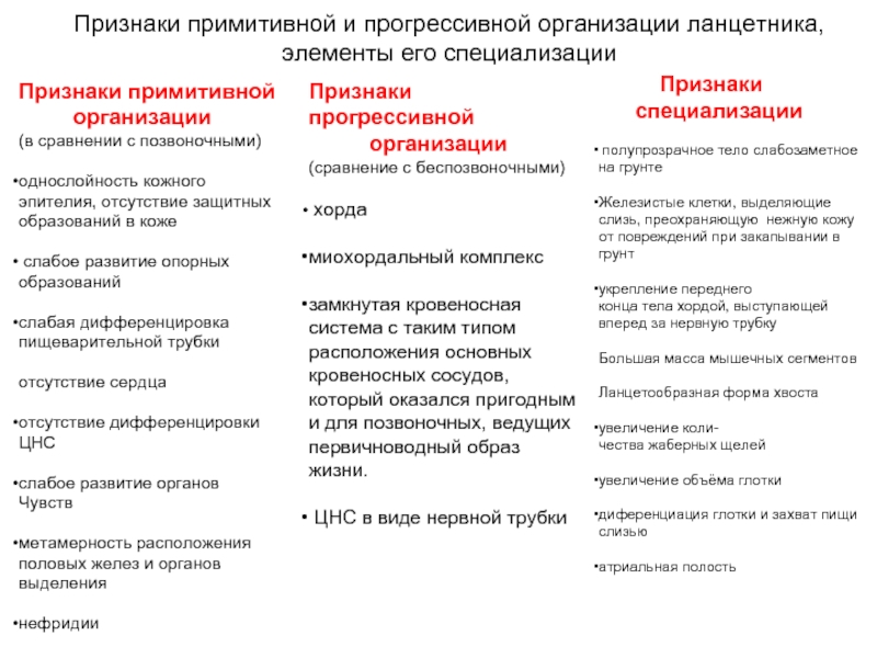 Специальность признаки. Признаки специализации. Примитивные признаки. Прогрессивные и примитивные признаки в строении листьев. Примитивные признаки в морфологических формах биология.