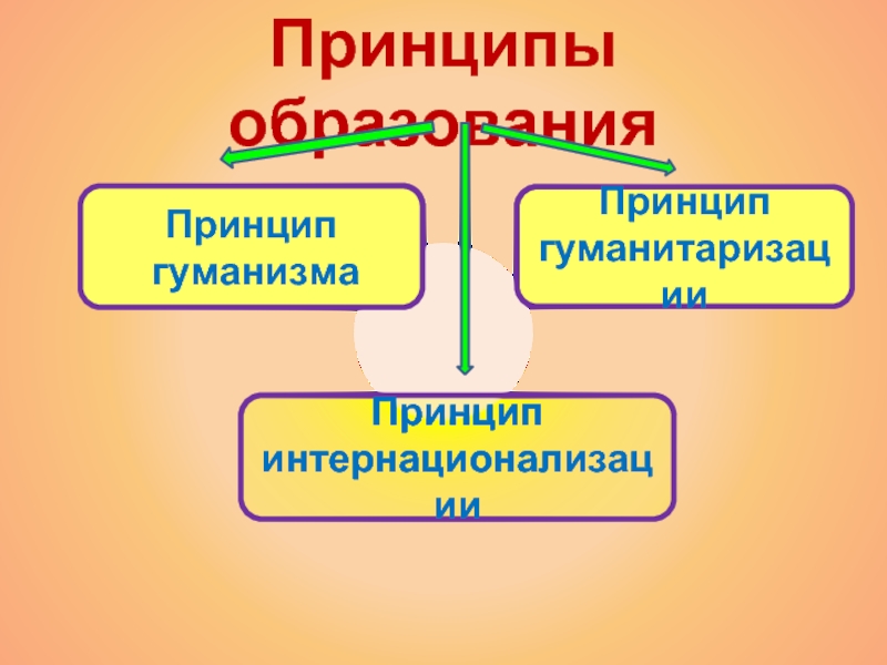 Принципы обучения обществознание. Принципы образования Обществознание. Принцип гуманитаризации. Принцип гуманитаризации образования. Гуманитаризация образования это в обществознании.