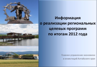 Информация о реализации региональных целевых программ по итогам 2012 года