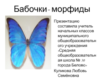 Бабочки- морфиды