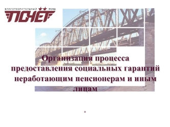 Организация процессапредоставления социальных гарантий неработающим пенсионерам и иным лицам