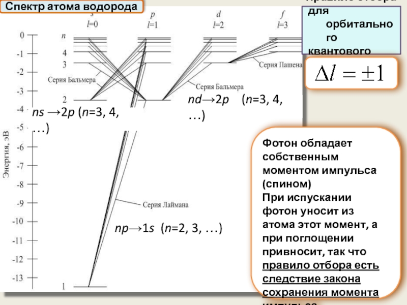 Спектр атома водорода. Оптические спектры атомов. Серия Пашена в спектре атома водорода. Спектральные серии атома водорода.