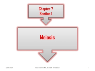 Meiosis. (Chapter 7.1)