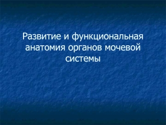 Развитие и функциональная анатомия органов мочевой системы