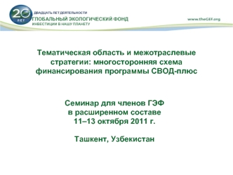 Тематическая область и межотраслевые стратегии: многосторонняя схема финансирования программы СВОД-плюс