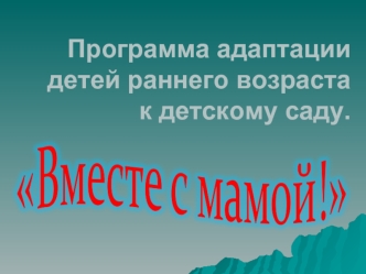 Программа адаптации детей раннего возраста к детскому саду.