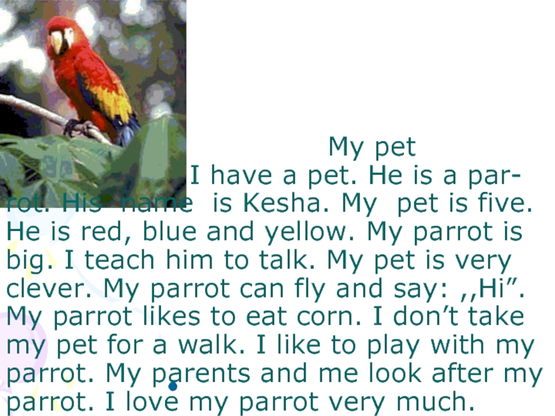 Доклад по английскому языку на тему my Pet. Английский язык 5 класс текст my Pet. My Pet текст на английском для 3 класса.