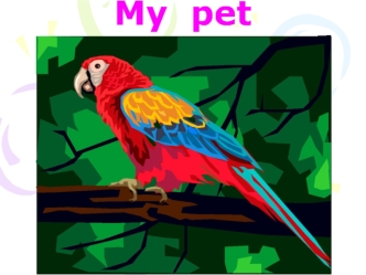 My  pet