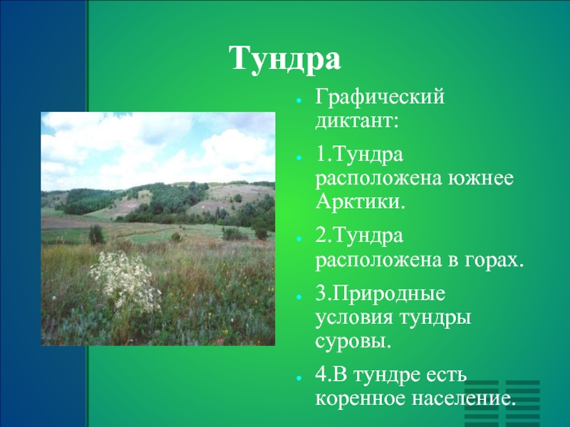 План природной зоны. Природные условия тундры. Диктант в тундре. Вопросы о тундре. Вопросы по тундре.