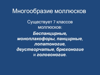 Многообразие моллюсков