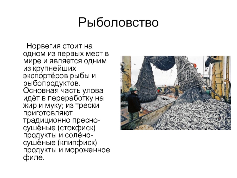 Промыслы норвегии. Рыбный промысел в Норвегии. Рыболовство в Норвегии презентация. Норвегия рыболовство описание. Основные промыслы Норвегии.