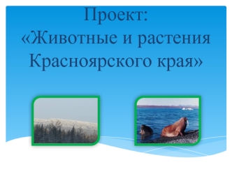 Проект: Животные и растения Красноярского края