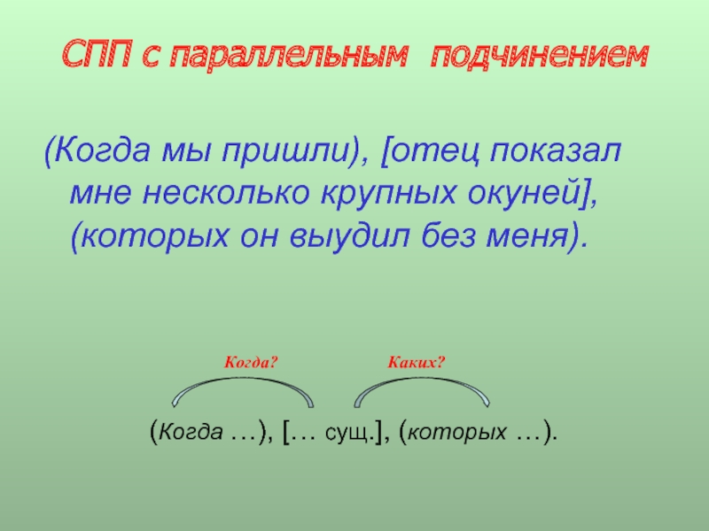 Параллельное подчинение. СПП С параллелтным подч. СПП С параллельным подчинением. Сложноподчиненное предложение с параллельным подчинением. Параллельные Сложноподчиненные предложения.