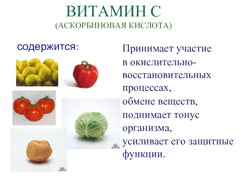 Функция витаминов в обмене веществ. Функции аскорбиновой кислоты в организме. Аскорбиновая кислота функции. Витамин с аскорбиновая кислота функции. Витамин с (аскорбиновая кислота) содержится в.