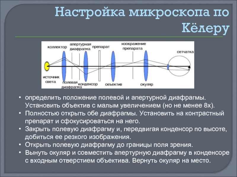 Окуляр увеличивает изображение