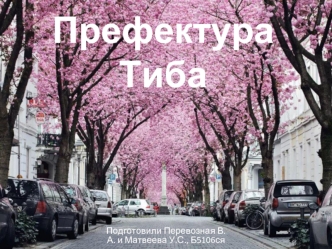 Префектура Тиба