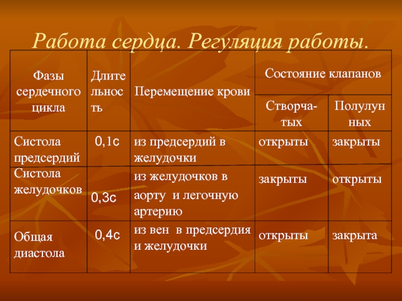 Продолжительность сердечного. Таблица работа сердца сердечный цикл 8 класс. Фазы работы сердца таблица.