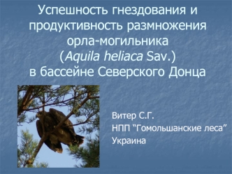 Успешность гнездования и продуктивность размножения орла-могильника (Aquila heliaca Sav.) в бассейне Северского Донца