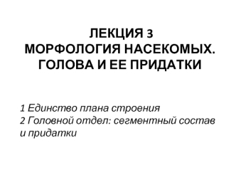 Морфология насекомых. Голова и ее придатки