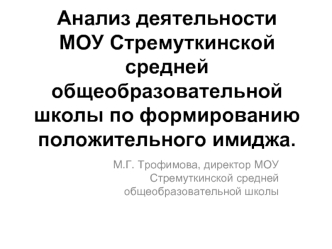 Анализ деятельности МОУ Стремуткинской средней общеобразовательной школы по формированию положительного имиджа.