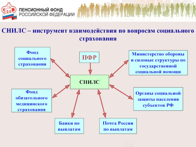 Организацией работы пенсионного фонда российской федерации