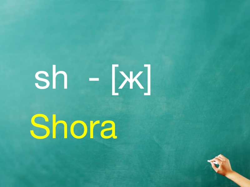 sh - [ж]   Shora