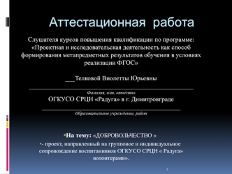 Аттестационная работа. Проект Добровольчество