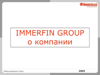 IMMERFIN GROUP  о компании