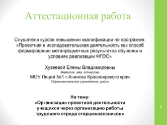 Аттестационная работа. Организация проектной деятельности учащихся через организацию работы трудового отряда старшеклассников