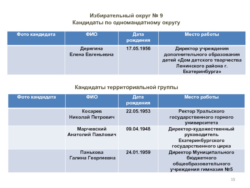 Одномандатная партия