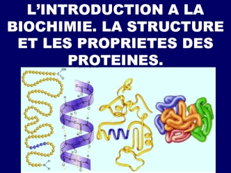 L’introduction a la biochimie. La structure et les proprietes des proteines