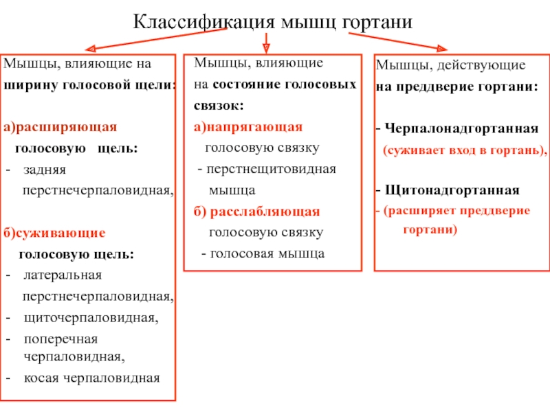 Голосовую щель суживают