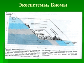 Экосистемы. Биомы