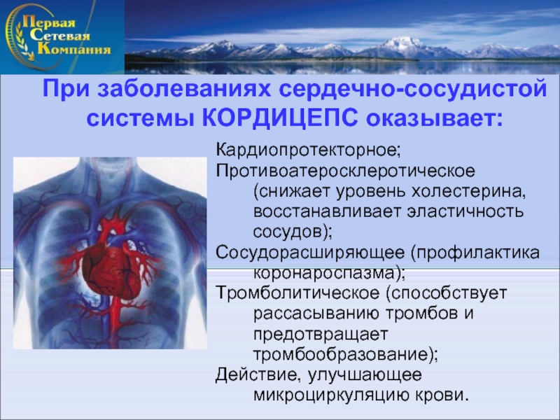 Сердечные заболевания сообщение. Заболевания сердечно-сосудистой системы. Сердечно сосудистая система. Патология сердечно сосудистой системы. Заболеваний сердца и сердечно-сосудистой системы.