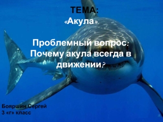 ТЕМА:АкулаПроблемный вопрос: Почему акула всегда в движении?
